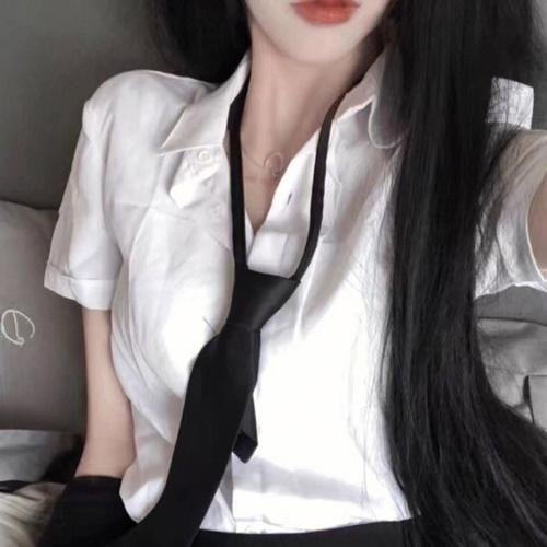 少帅